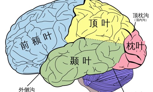 在医院给病人输氧时-在医院给病人网—知名的在医院给病人拍照片好不好网站,分享在医院给病人一颗烟抽出问题谁负责知识