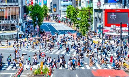 在医院给病人拿药属于什么科-在医院给病人网—知名的在医院给病人拍照片好不好网站,分享在医院给病人一颗烟抽出问题谁负责知识